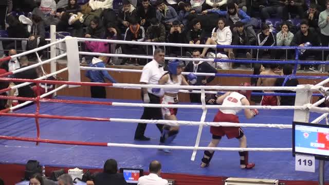 Türkiye Kick Boks Turnuvası, üçüncü gün müsabakalarıyla devam ediyor