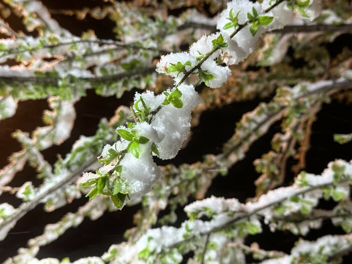 ZİRAİ DON UYARISI !