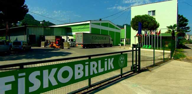 FİSKOBİRLİK 76 LİRADAN FINDIK ALMAYA BAŞLADI