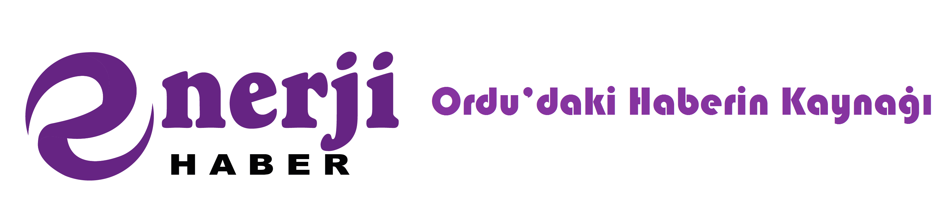 Ordu Enerji Haber