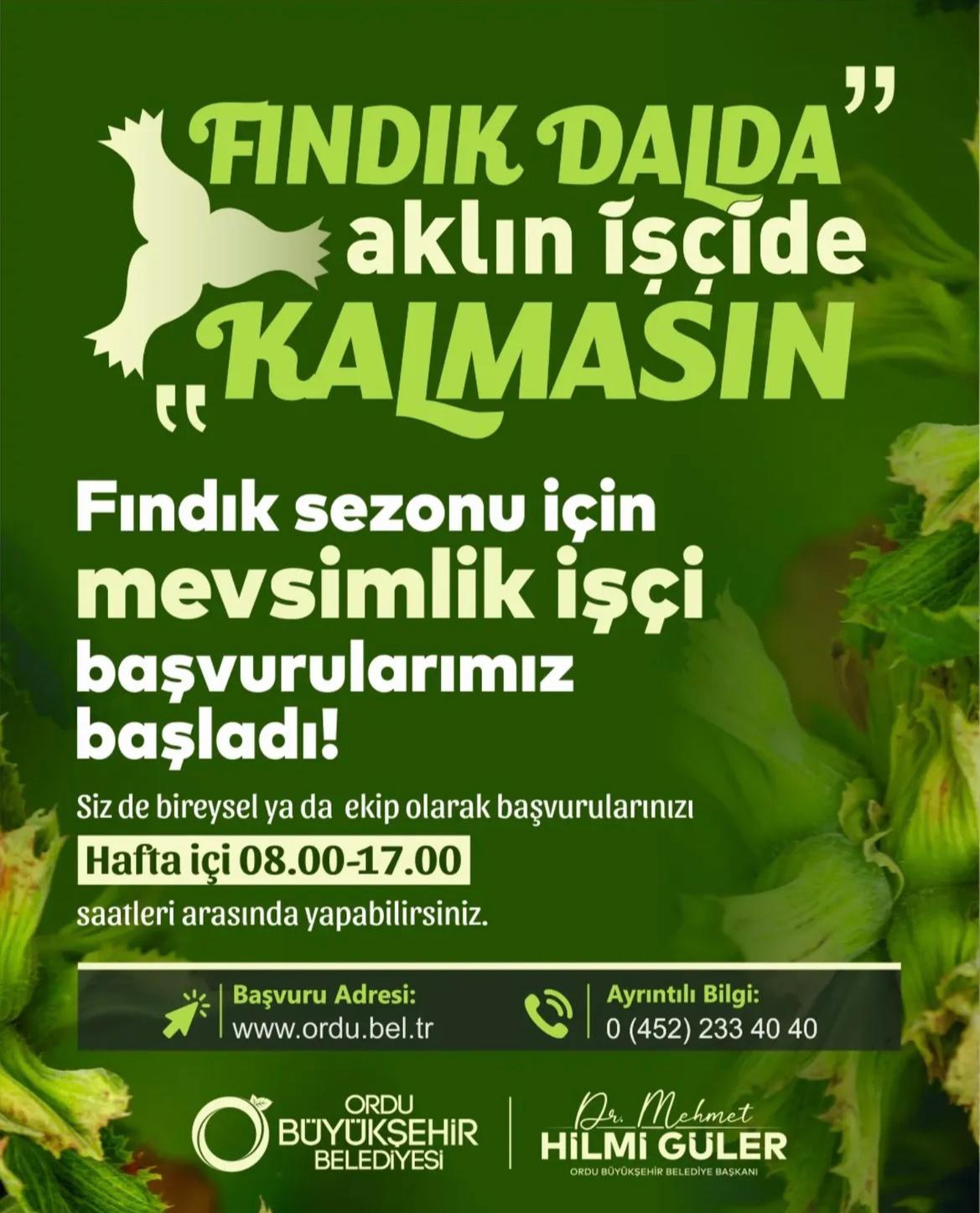 “FINDIK DALDA, AKLIN İŞÇİDE KALMASIN” BAŞVURULAR BAŞLADI