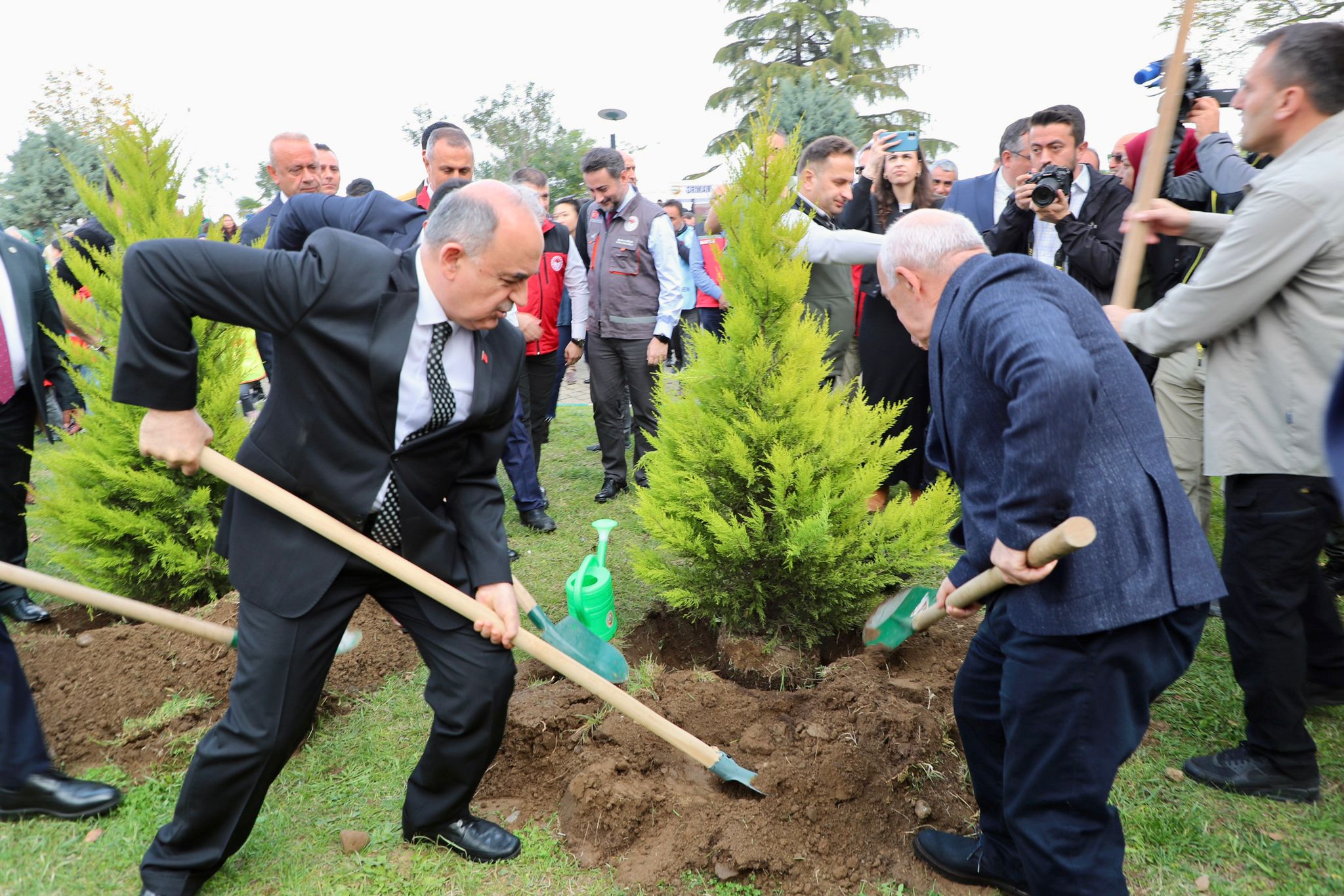 Ordu’da 350 Bin Fidan Toprakla Buluşturulacak