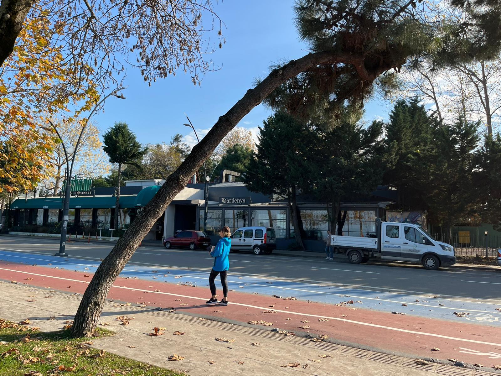 CAN VE MAL GÜVENLİĞİNİ TEHDİT EDEN AĞAÇLAR KALDIRILACAK, YERİNE YENİ AĞAÇLAR DİKİLECEK